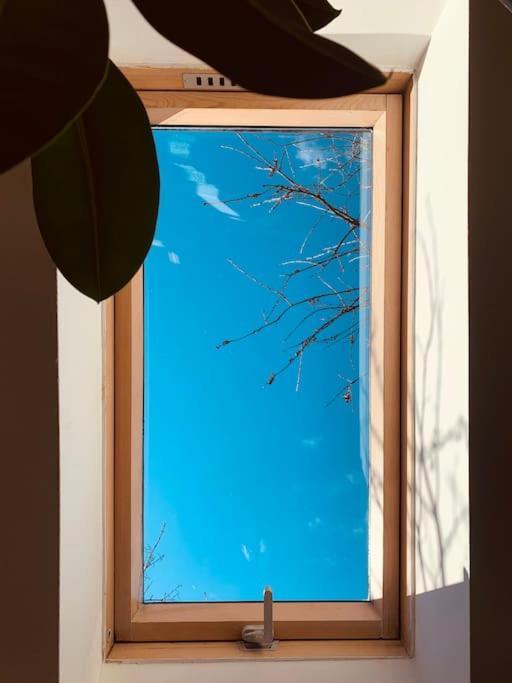 Apartment Bright And Pleasant Cluj-Napoca